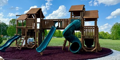 Exciting News: Our New Bear's Playground is Open!