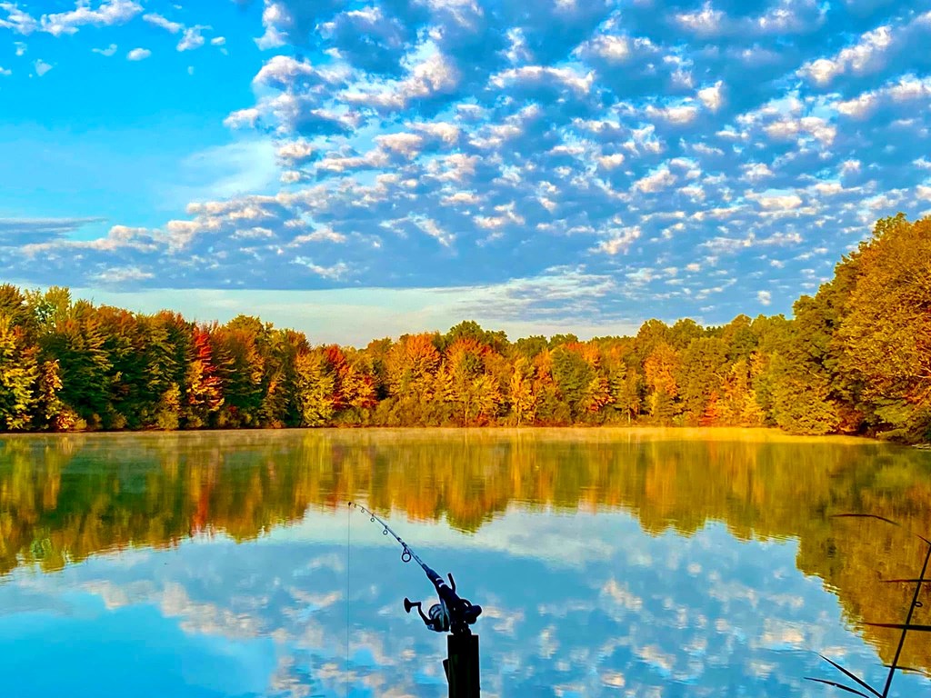 Fall at Lake Milton: A Colorful Invitation 🍁