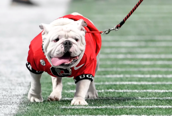 GEORGIA BULLDOGS AND BOTANICAL GARDENS
