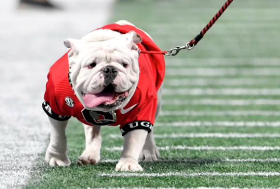 Georgia Bulldogs - Athens