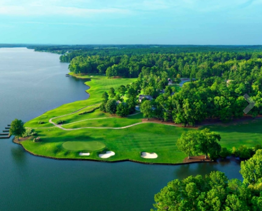DID SOMEONE SAY GOLF?