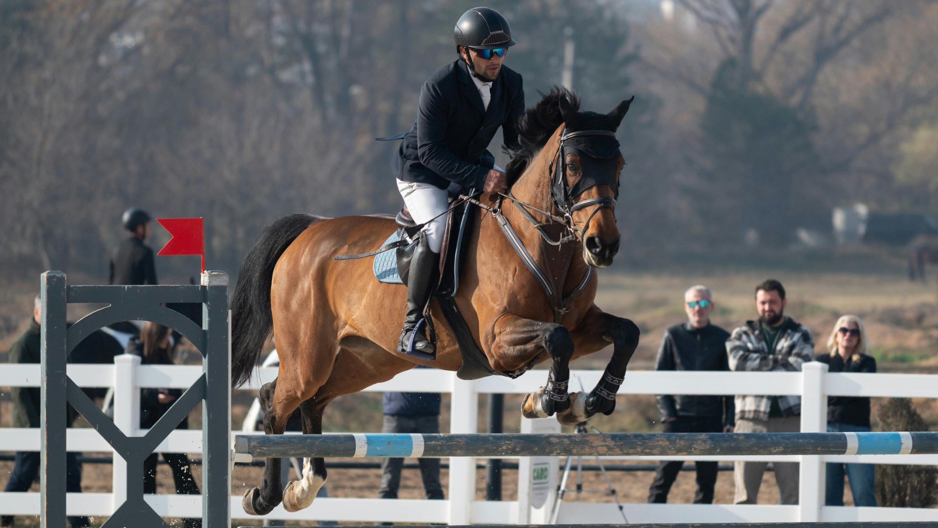 Lake Placid Horse Shows Photo