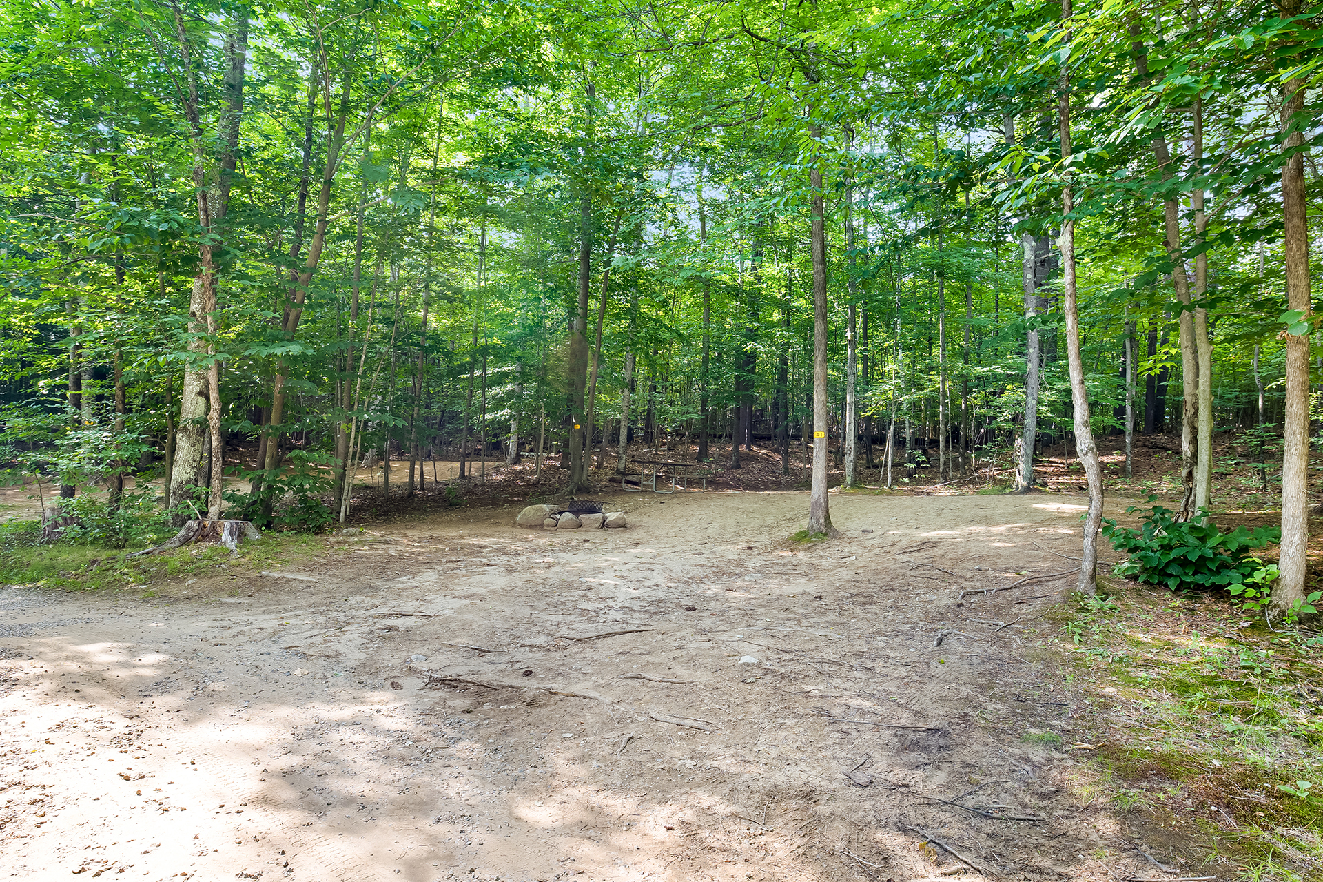 T41 - Tent Site, No Hookups