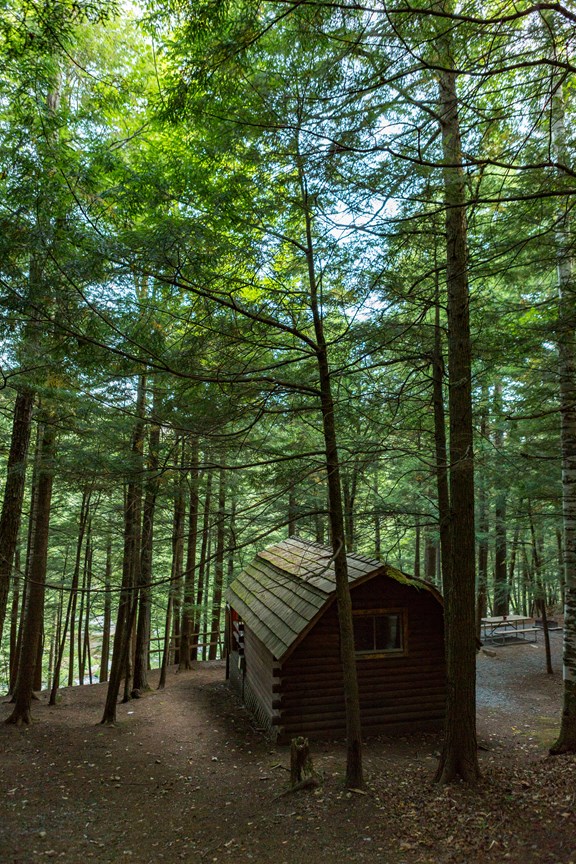 Convenient Camping Cabins