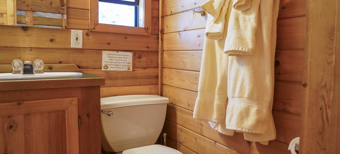 Bathroom in the cabin