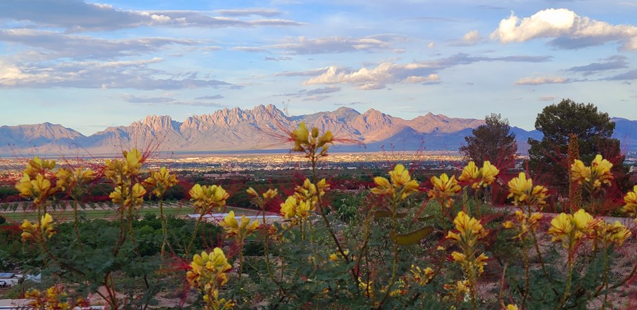 Las Cruces KOA Holiday