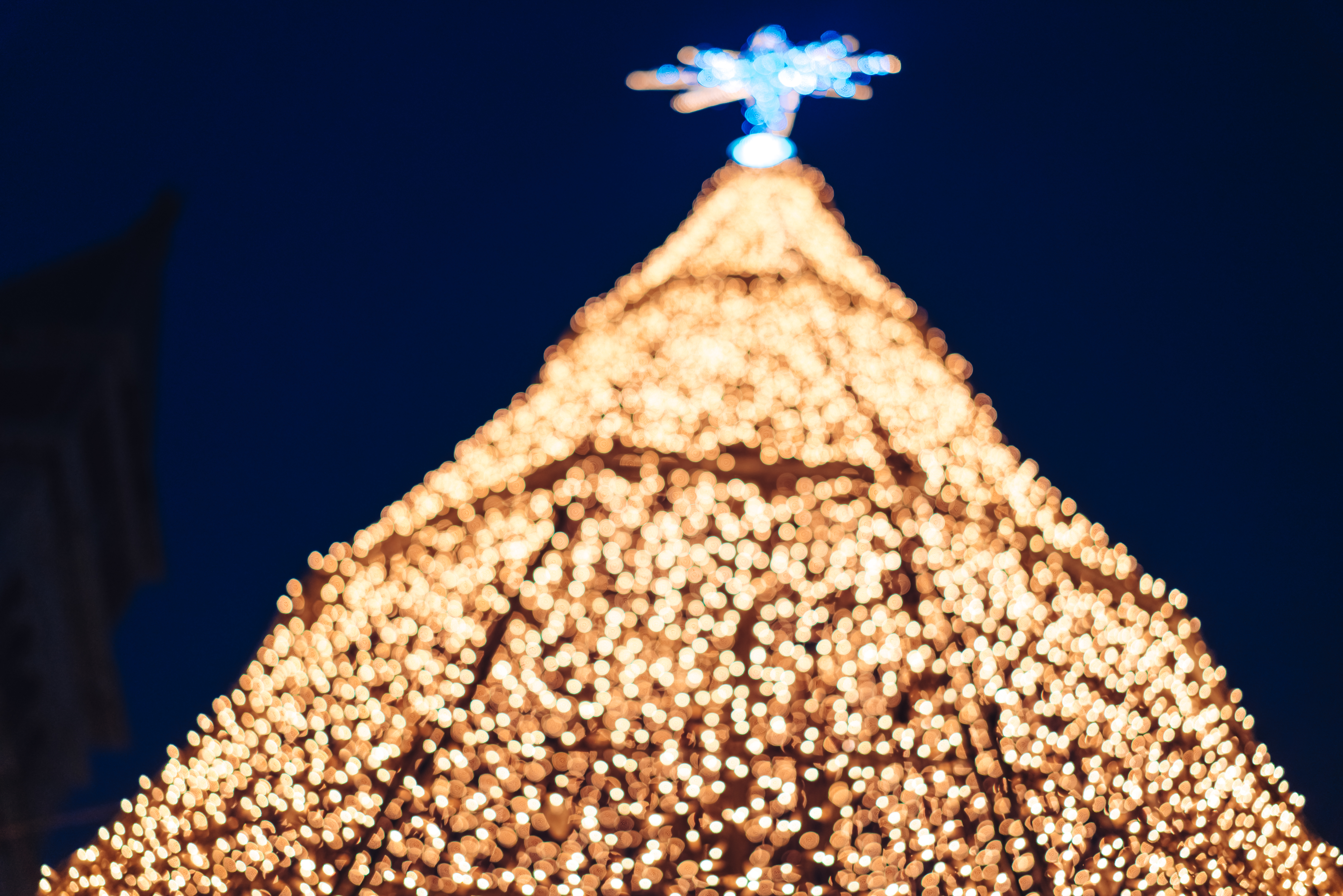 City of Las Cruces Tree Lighting Photo