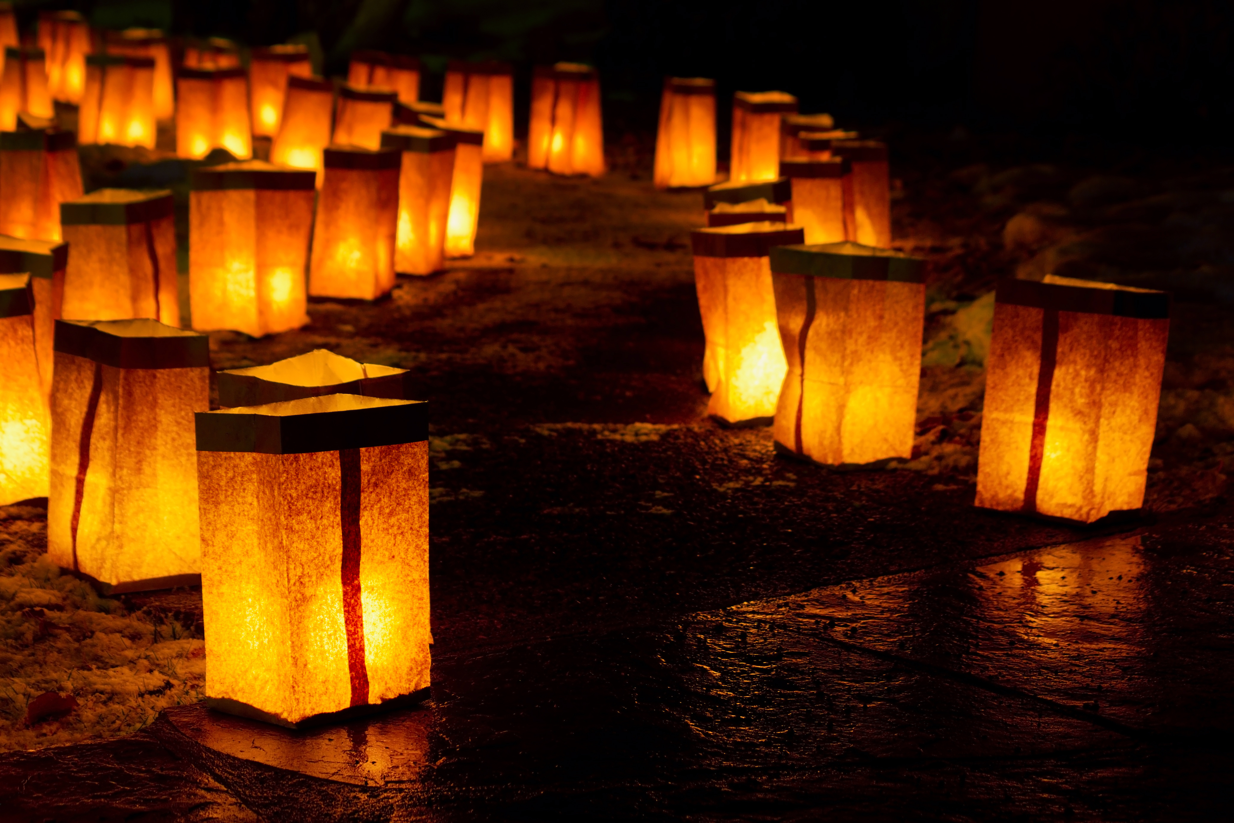 Noche de Luminarias Photo