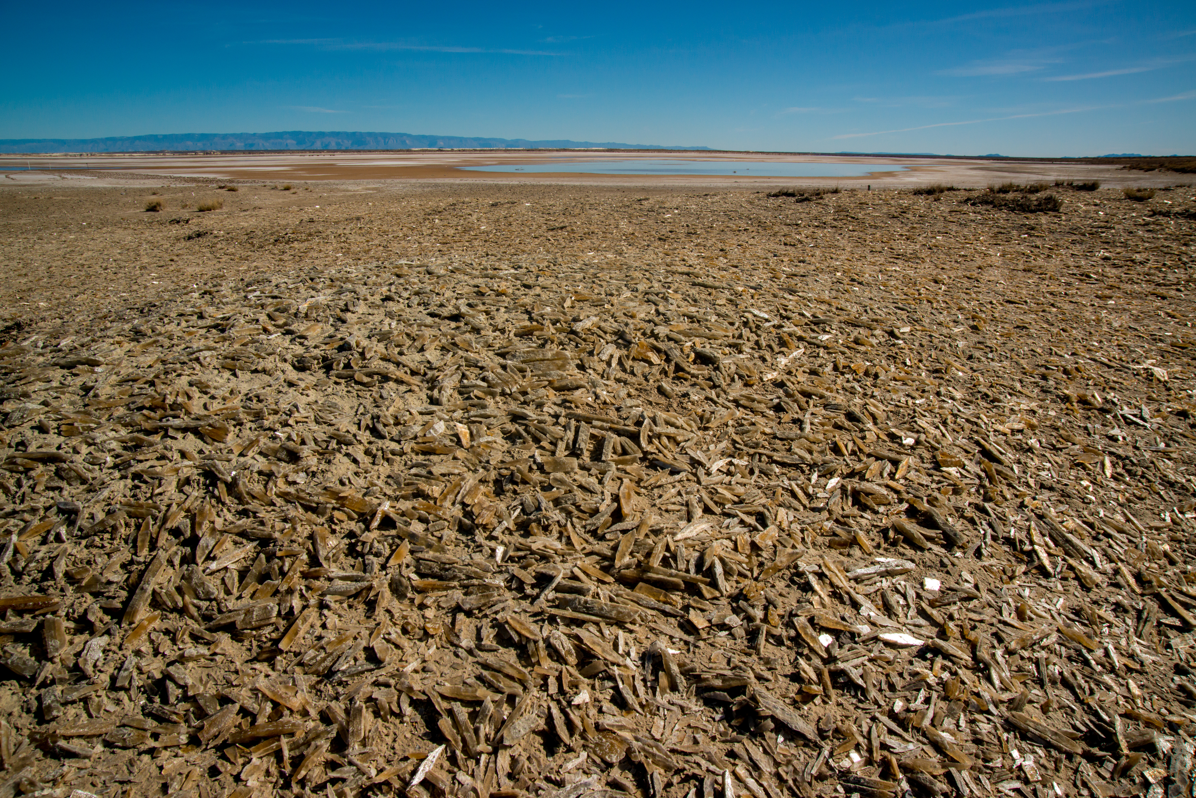 Ranger Guided Lake Lucero Tour Photo