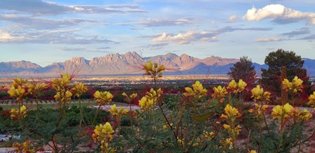 Las Cruces KOA Holiday