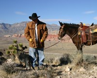 Cowboy Trail Rides