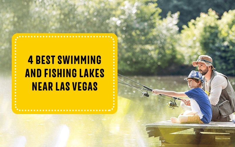 4 Best Swimming and Fishing Lakes Near Las Vegas