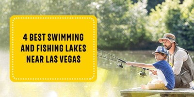 4 Best Swimming and Fishing Lakes Near Las Vegas