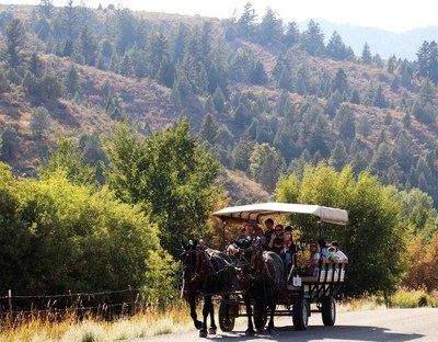 Baker Ranch Wagon Rides