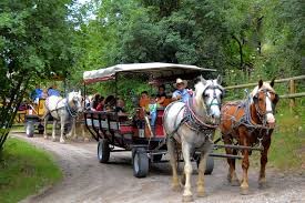 Baker Ranch Wagon Rides