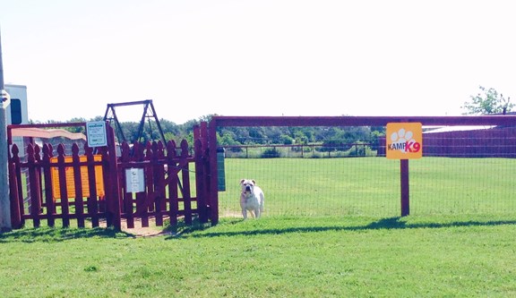 K-9 Pet Area