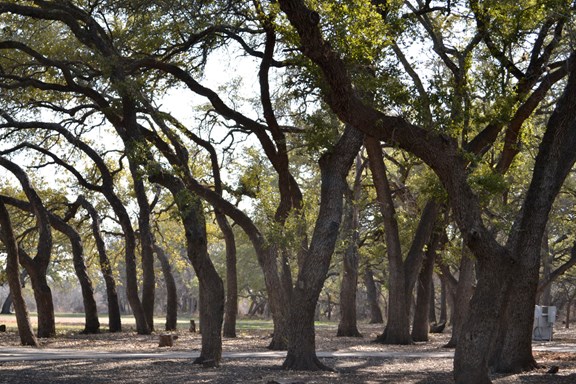 Area Parks