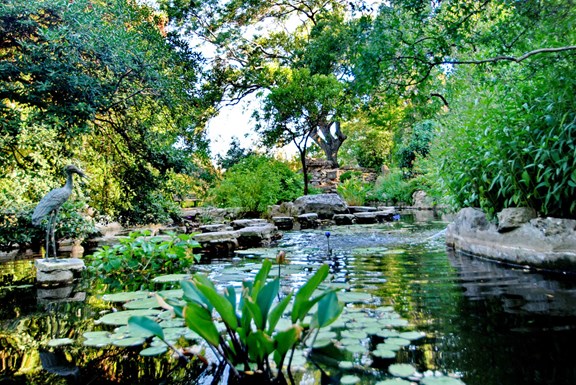 Zilker Botanical Gardens