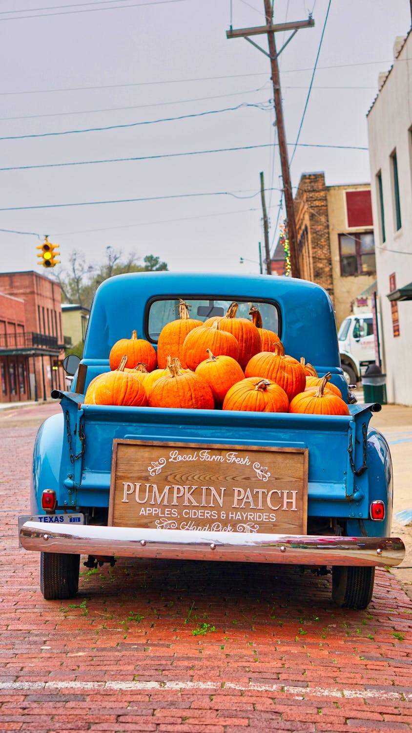 Autumn in Texas -  "In Texas" #1