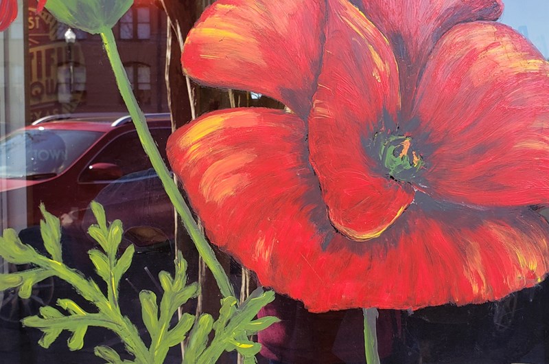 Red Poppy Festival in Event at the Leander / NW Austin KOA