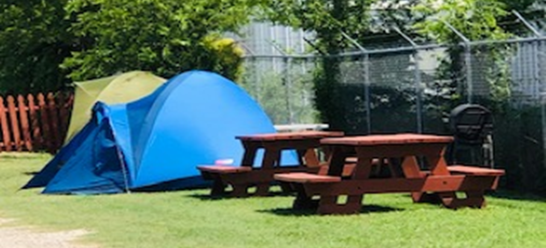 Tent Site, No Hookups, Grass Site Pad