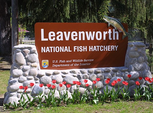 Leavenworth Fish Hatchery