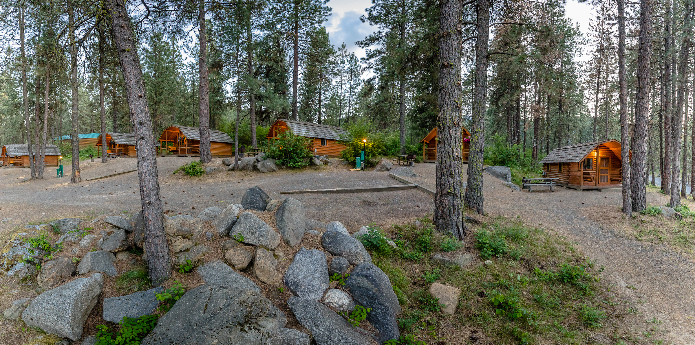 Under the pines!