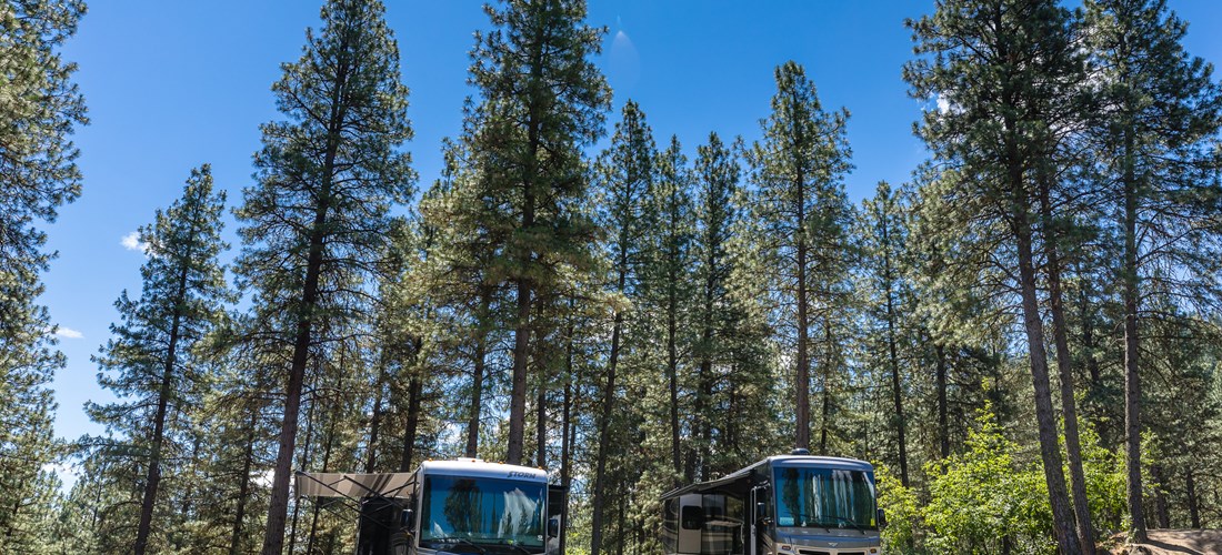 Big Rig friendly under the pines!