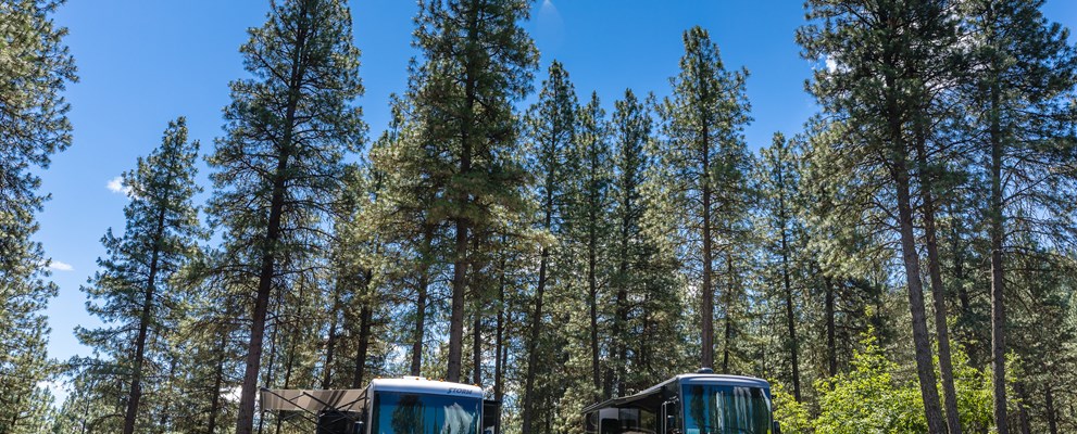 Big Rig friendly under the pines!