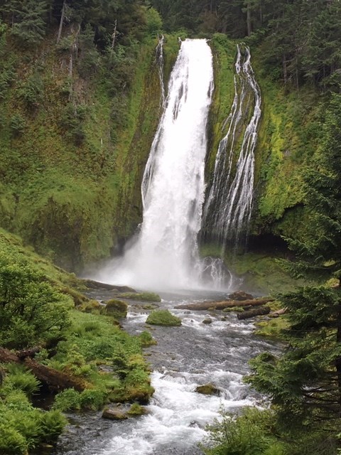 Lemolo Falls - Lower Falls Hike