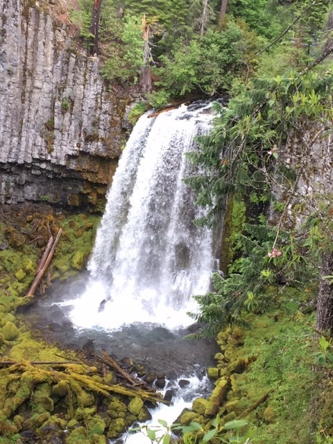 Warm Springs Falls