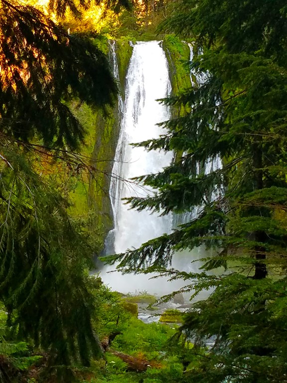 Lemolo Falls - Upper Falls Hike