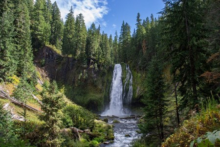 Lemolo Lake / Crater Lake North KOA Holiday