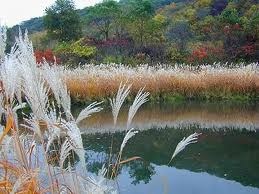 Southwest Wisconsin