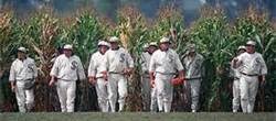 Field of Dreams Movie Site