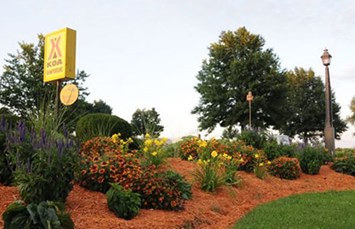 Illinois Camping Locations Koa Campgrounds