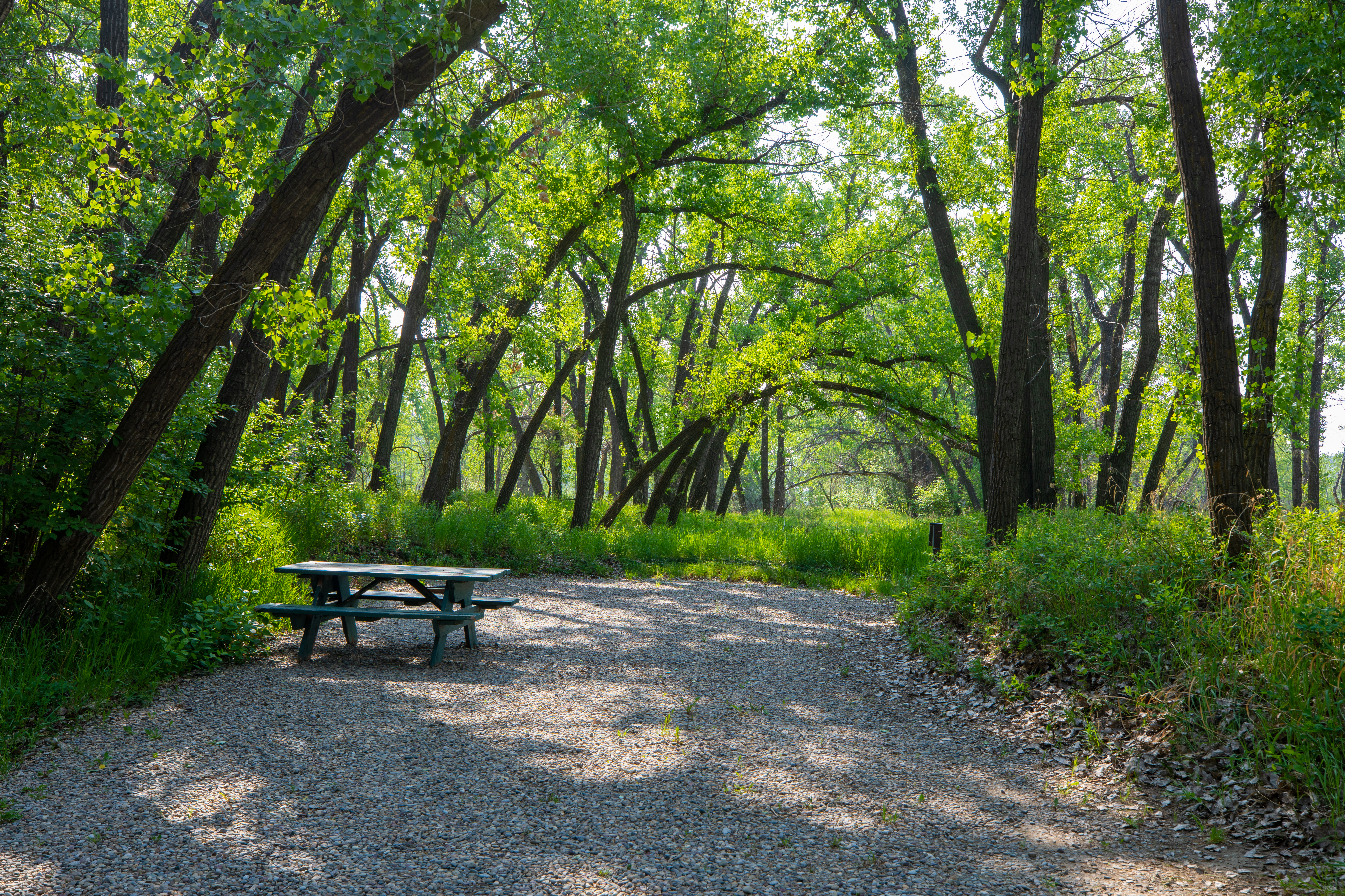 Lethbridge KOA Journey - Photo 3