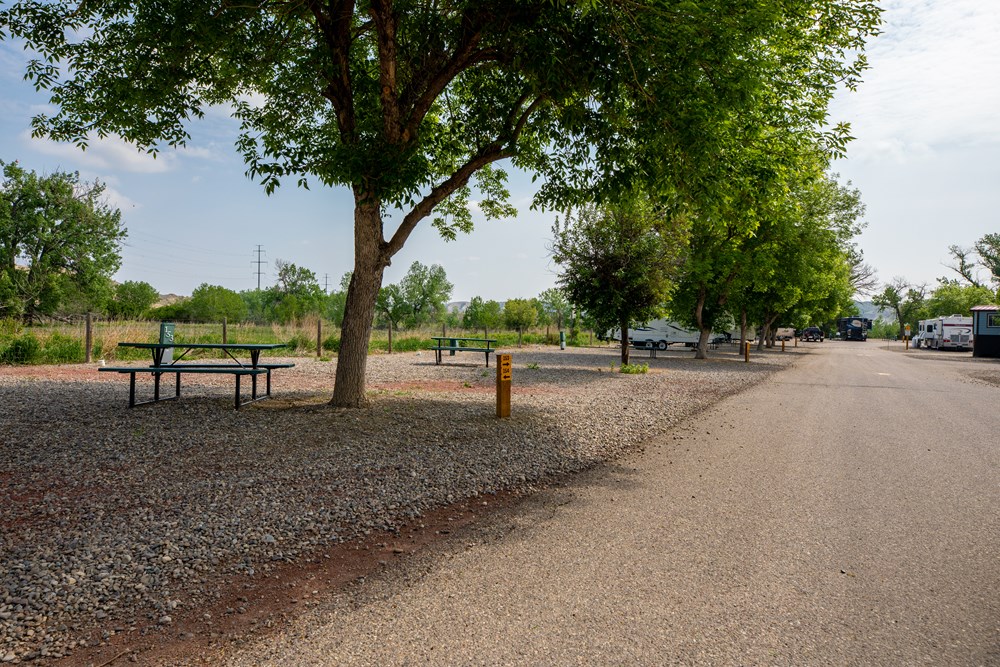 Arizona