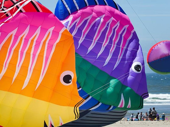 Fall 2025 Kite Festival