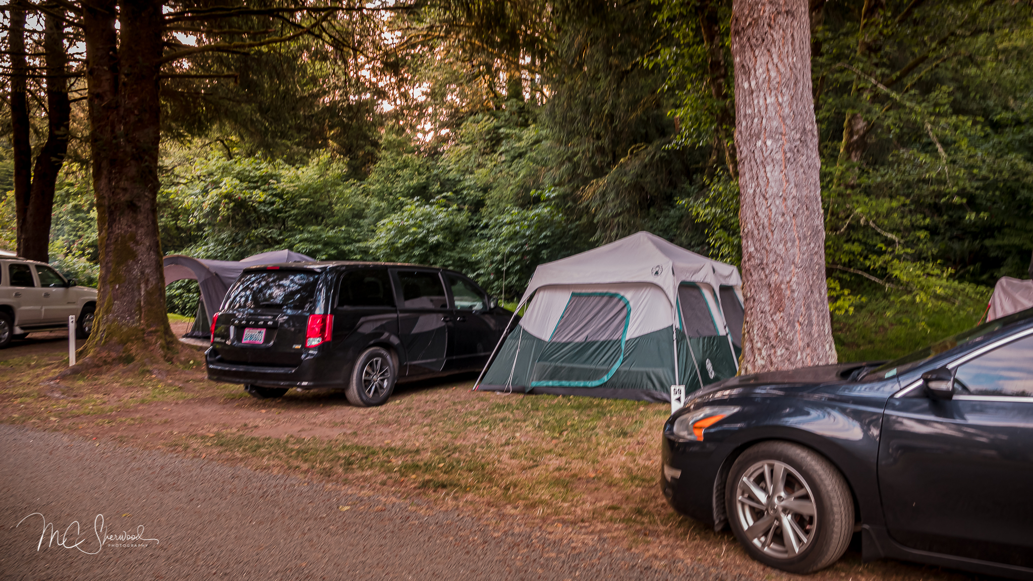 Individual Tent Site, No Hookups, Grass Tent Pad Pictures Lincoln