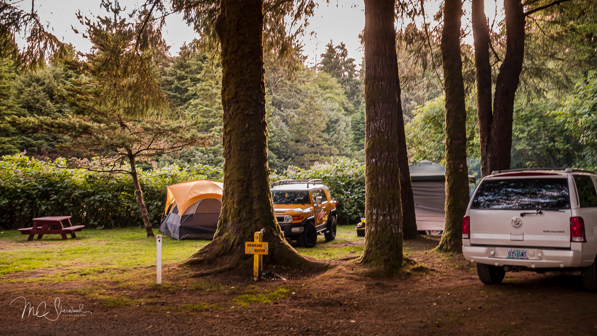 Koa Tent Pad Size