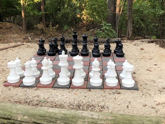 Gigantic Chess Game