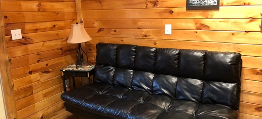 Moose cabin--living room