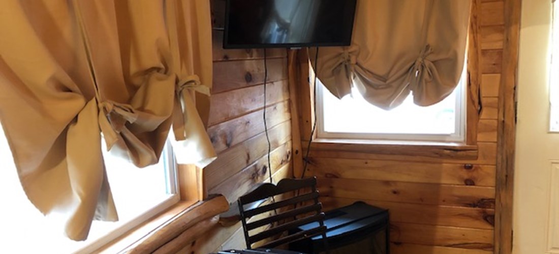 Moose cabin-living room