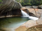 The Basin