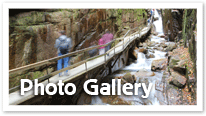 Flume Gorge