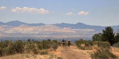 Paradise Valley: Where Hollywood Meets the Heart of the West