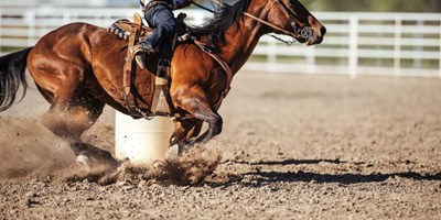 Saddle Up for Rodeo Season Near Livingston
