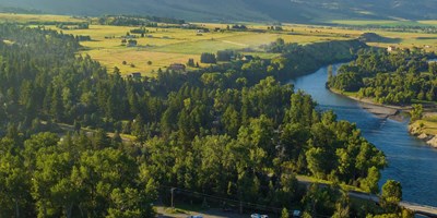See What's New Around Camp
