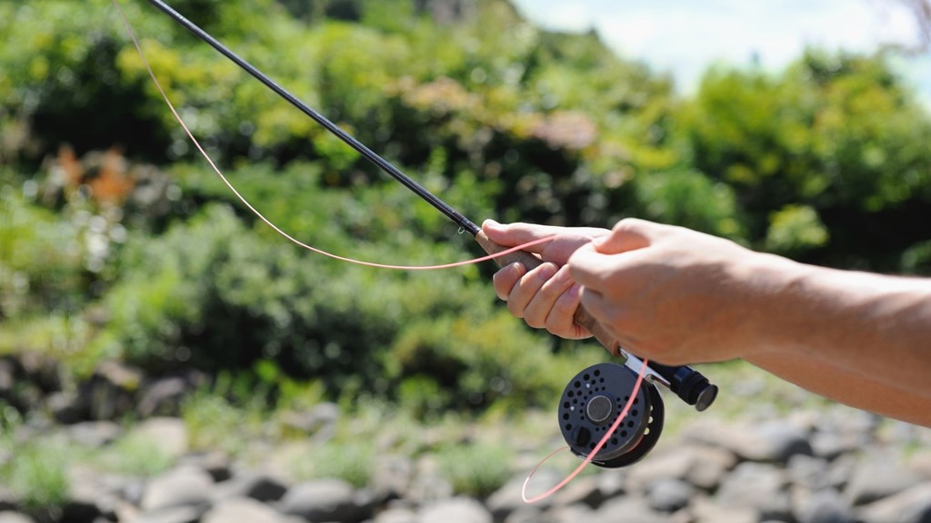 Fishing Near Livingston Montana: Species and Best Local Fish